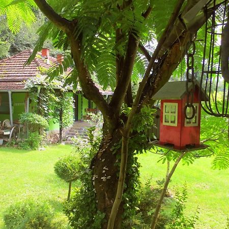 Etno-Kuca "Leka" Klisura Villa Despotovac Eksteriør bilde